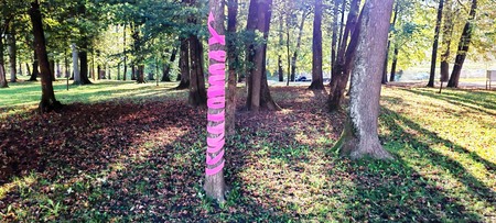 Rožnati oktober (7)